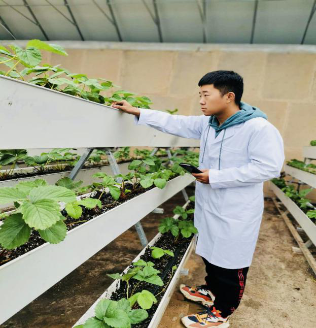 自然的呼唤：有机农业在现代农业中的地位