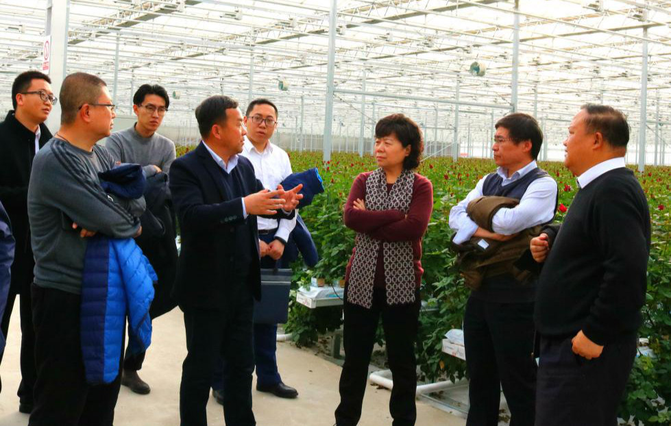 图片1_meitu_1.jpg 图片1_meitu_1.jpg