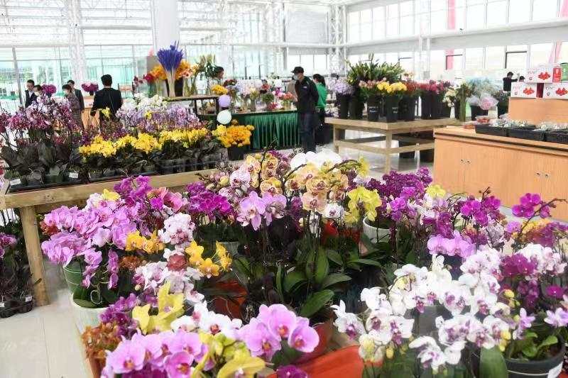 1606448069728467.jpg 1606448069728467.jpg