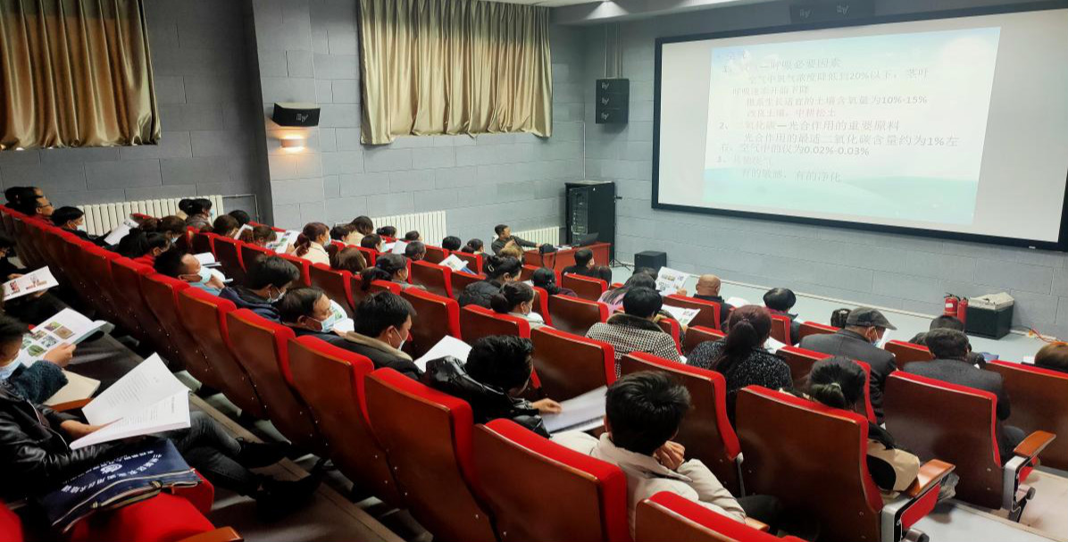 图片2_meitu_2.jpg
