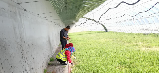 图片11.png 图片11.png