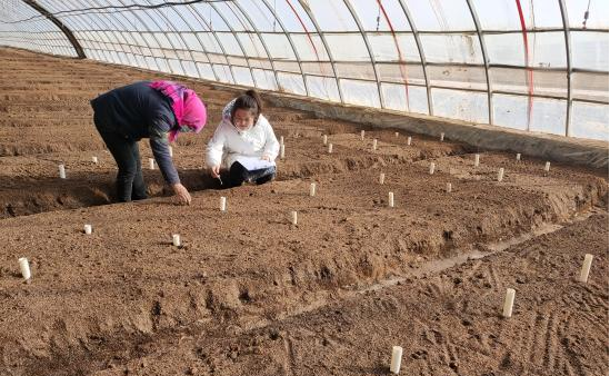 图片8.png 图片8.png